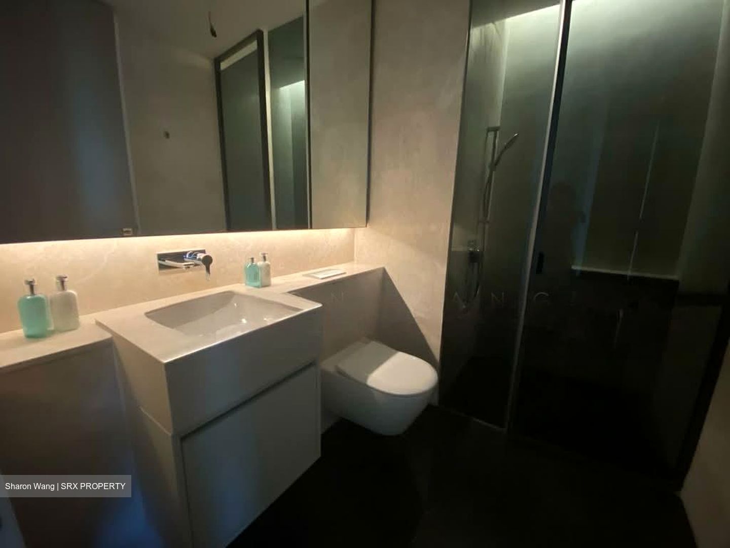 Amber Park (D15), Condominium #549184561